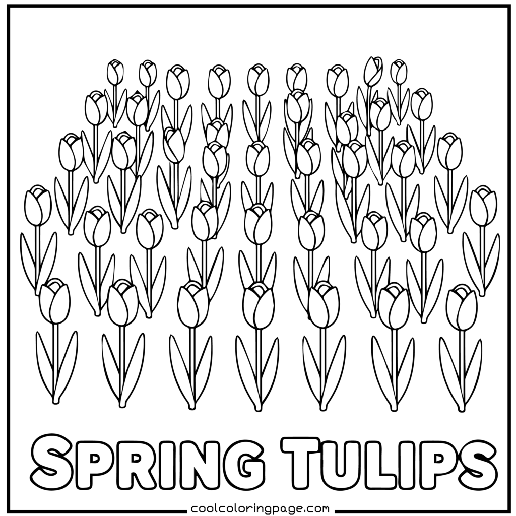 Flower coloring pages presenting tulips arranged as flower coloring pages for adults