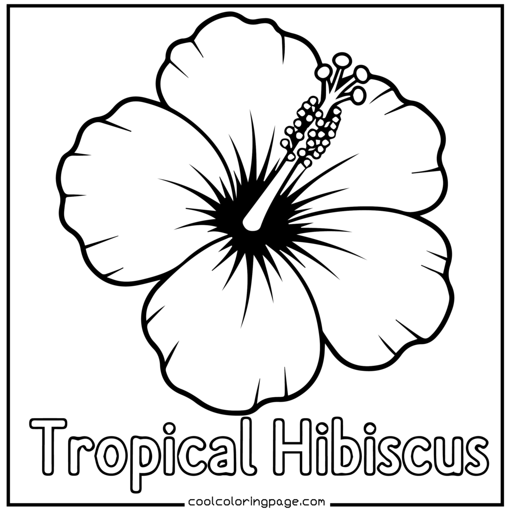 Flower coloring pages showing a tropical hibiscus flower coloring page in outline style