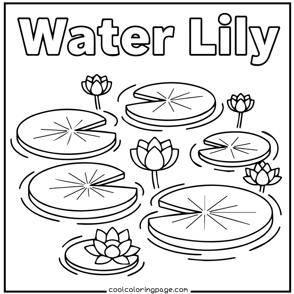 Flower coloring pages displaying a water lily coloring page of a flower with bold outlines
