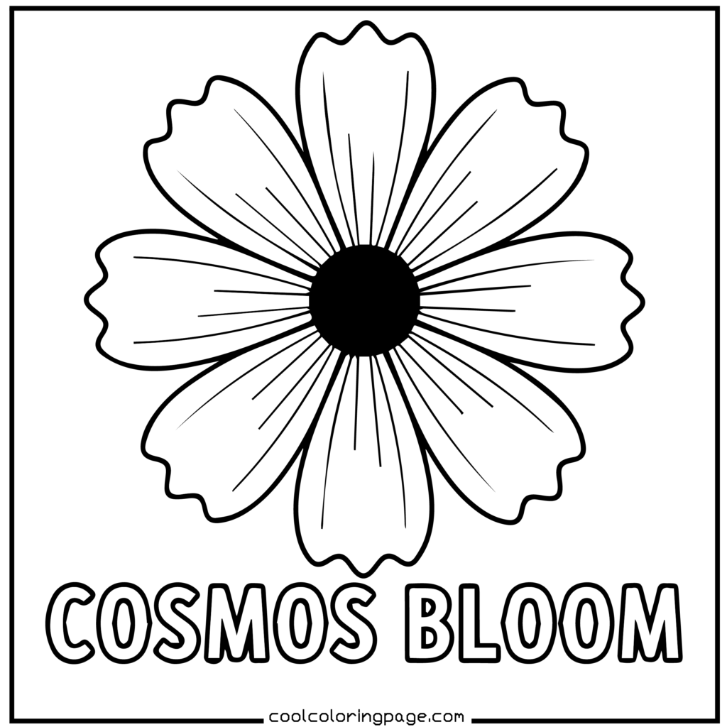 Flower coloring pages featuring a simple cosmos flower coloring page
