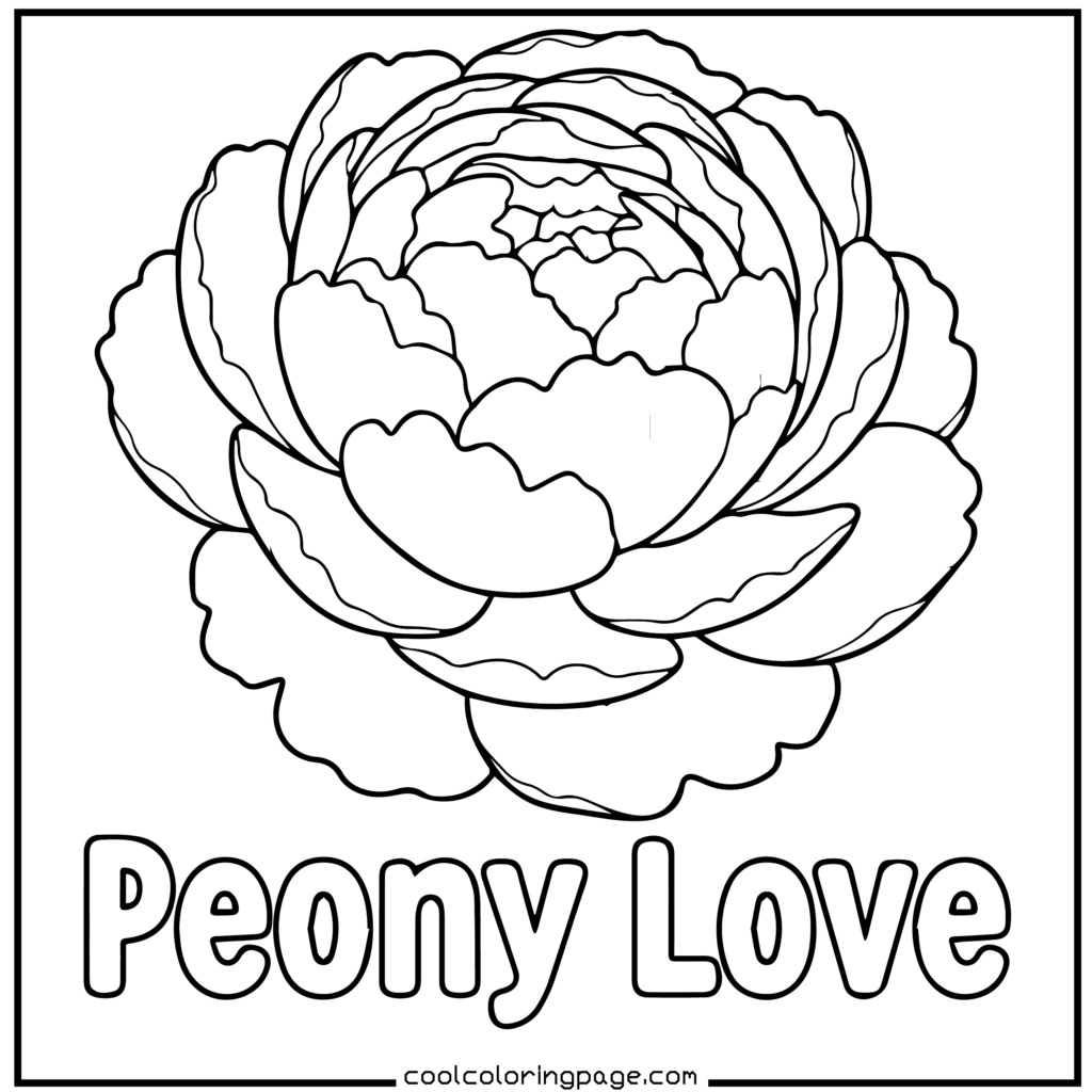Flower coloring pages presenting a peony flower coloring page with layered petals