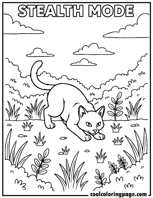 10 stealth warrior cat coloring pages for kids